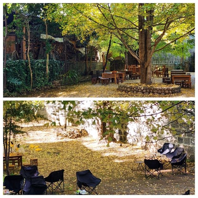 New destination for yellow leaves @ Tengchong, China