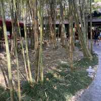 คาเฟ่ เชียงใหม่ Nekoemon Cafe Chiangmai 