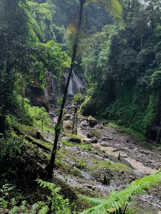 Majestic Beauty at Tumpak Sewu
