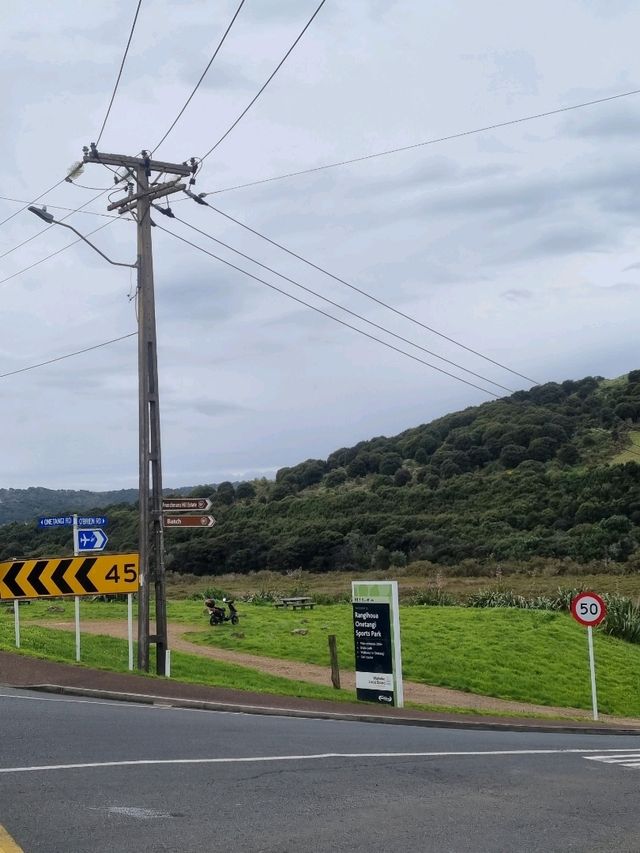 와이헤케 섬 와이너리 투어 - 스토니릿지🇳🇿