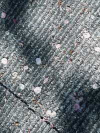 You must visit Atami for the Earliest Sakura near Tokyo! 