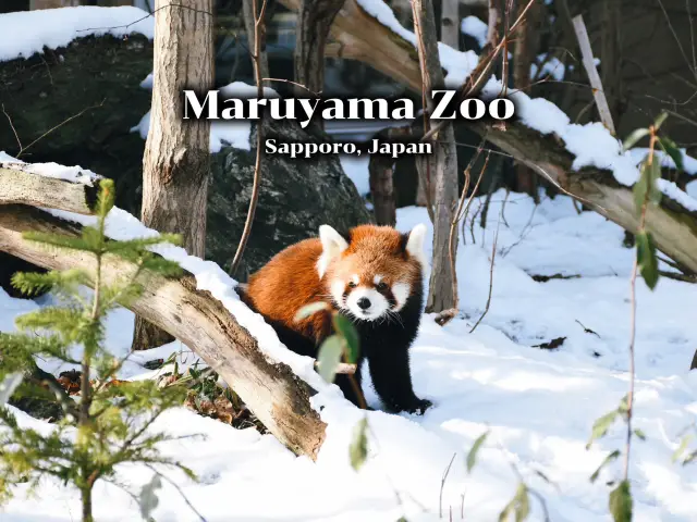 札幌市動物園🐒🇯🇵