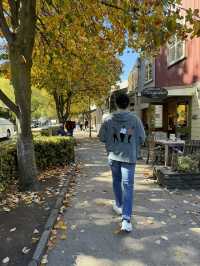 Arrowtown in Autumn, New Zealand