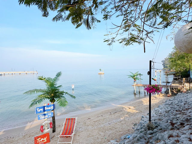 Starter on the BEACH (Tiny Island Cafe) ⛱️☕️