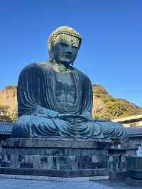 🏯 鎌倉大仏（高徳院）攻略ガイド – 見どころ＆ベストな楽しみ方