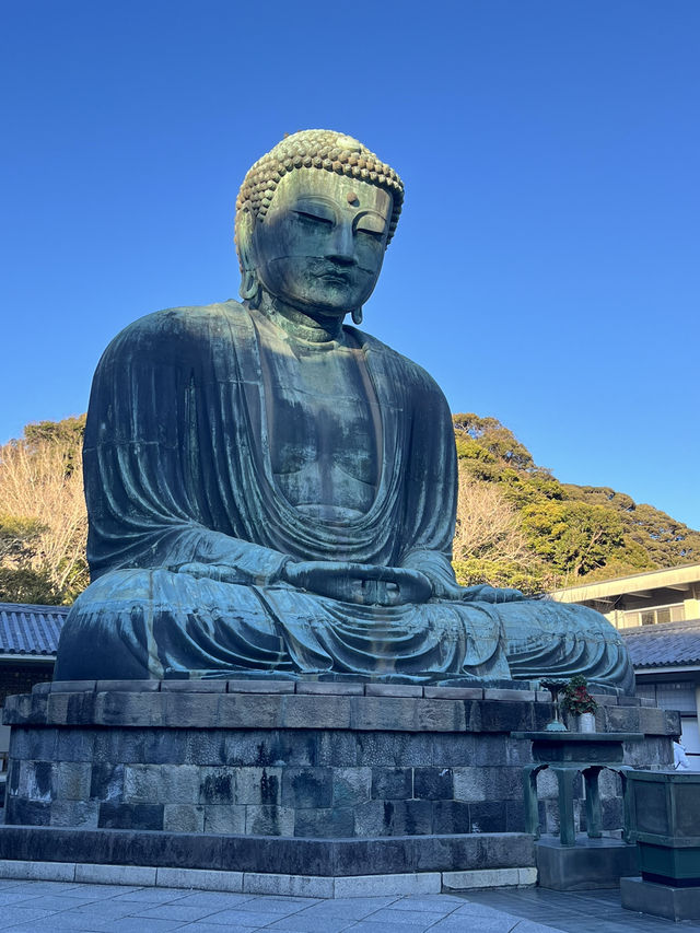 🏯 鎌倉大仏（高徳院）攻略ガイド – 見どころ＆ベストな楽しみ方