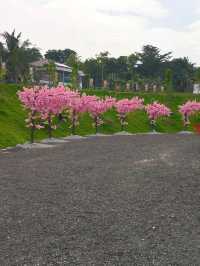 A Tranquil Stop on My Malaysia Trip