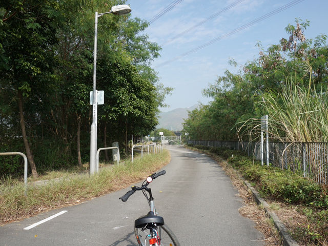 Hong Kong’s Hidden Wetlands: Our Nam Sang Wai Cycling Trip