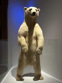 Unveil the Wonders of the Natural World at Vienna’s Natural History Museum