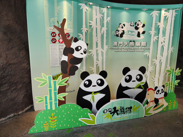 很趣緻的熊貓🐼🐼館