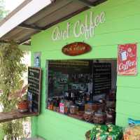 civet coffee