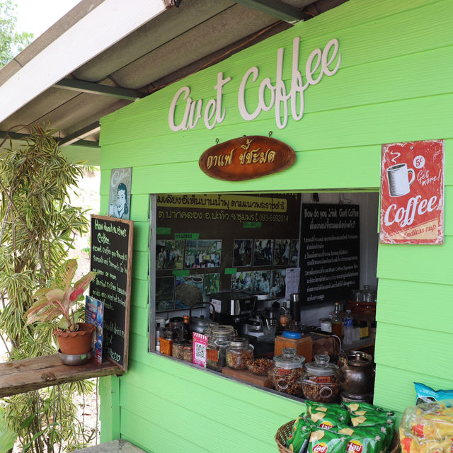 civet coffee