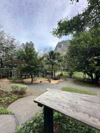 Coffee house lost in Krabi forest!