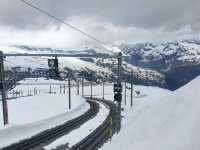 Zermatt - car-free town and blacknosed sheep