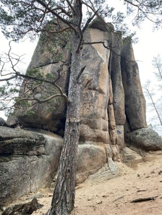 Nature escape in stones 