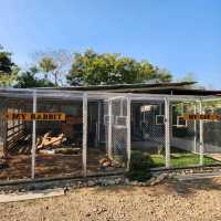 ที่เที่ยวพร้อมAdventure : ISBJØRN CHIANGDAO