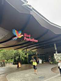 Bird Paradise Singapore: A Must-Visit for Nature & Wildlife Lovers