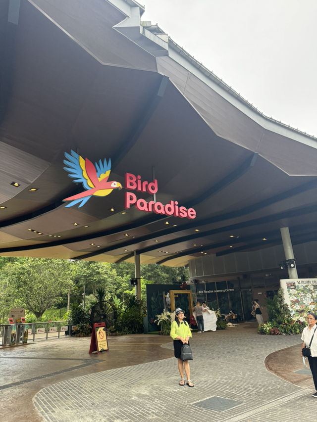 Bird Paradise Singapore: A Must-Visit for Nature & Wildlife Lovers