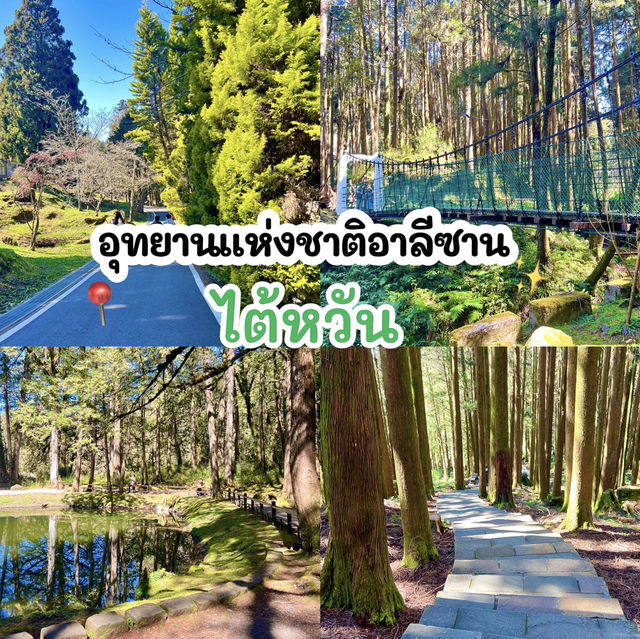 อุทยานแห่งชาติอาลีซาน
