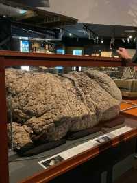 🏛️ Unveil History at the National Museum of Australia! 🇦🇺