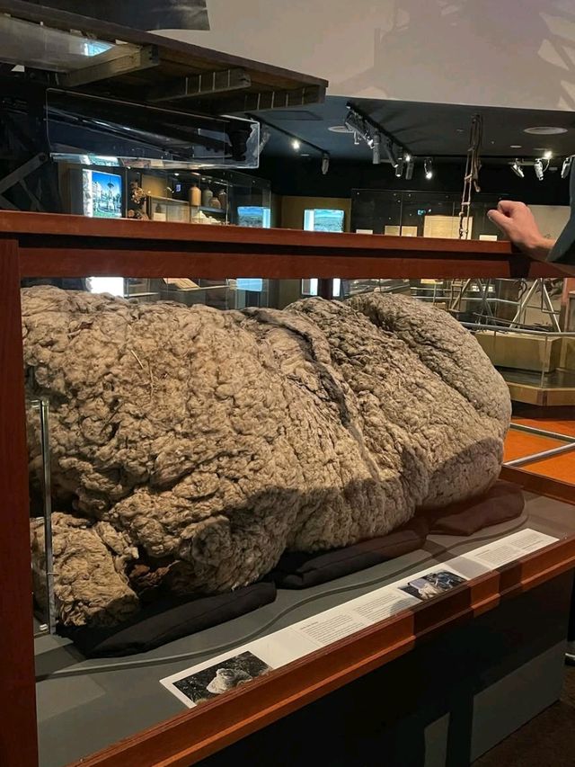 🏛️ Unveil History at the National Museum of Australia! 🇦🇺