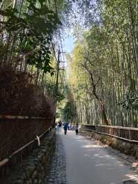 Kyoto: A Journey Through Japan’s Cultural Heart