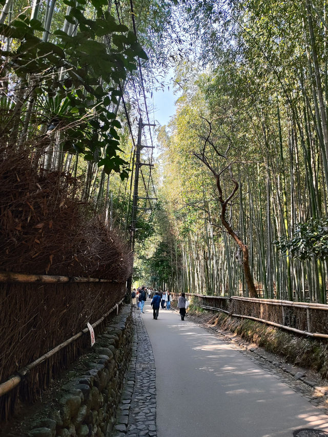 Kyoto: A Journey Through Japan’s Cultural Heart