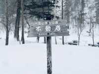 🇯🇵北海道最大最高國家公園🏞️