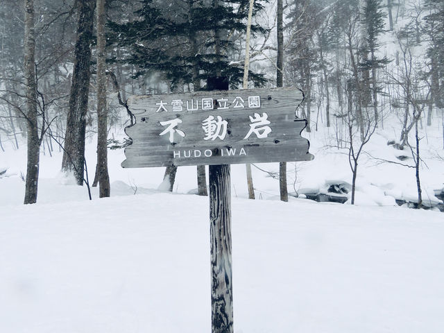 🇯🇵北海道最大最高國家公園🏞️
