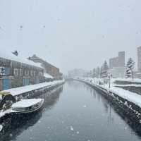 東京13日遊