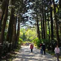 Taipei Botanical Garden