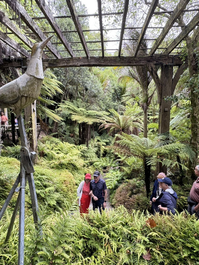 紐西蘭🇳🇿奧克蘭 城市之肺 中央溫室花園 繽紛綻放的花朵讓人心曠神怡！