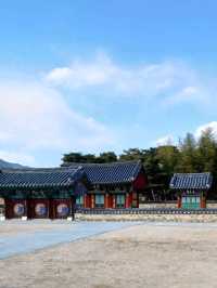 단청 아래 한옥 건축이 주는 정적인 아름다움 🏯🌿