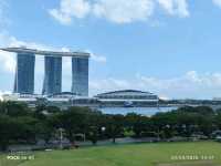 Viewpoint From Garden