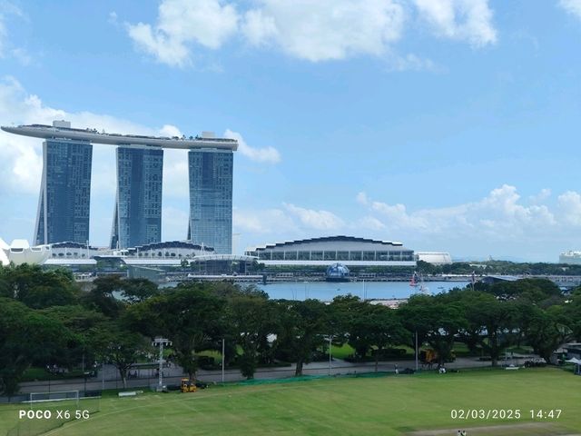Viewpoint From Garden