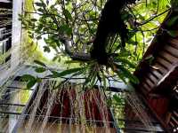 The Only One Balinese Concept Hotel in Ipoh Town