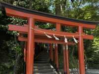 A Tranquil Stroll Through History: Tsurugaoka Hachimangu in Kamakura