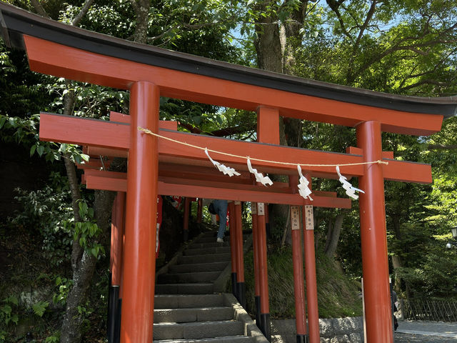 A Tranquil Stroll Through History: Tsurugaoka Hachimangu in Kamakura