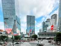 Shibuya Pulse: Crossing, Hachiko & Anime Dreams
