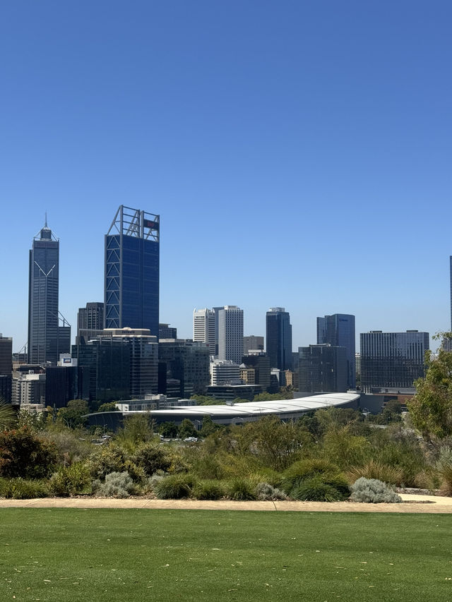 Kings Park Adventure: Nature, Views & Culture