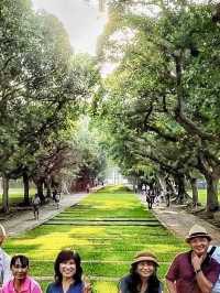 台中東海大學Tunghai University 文化巡禮