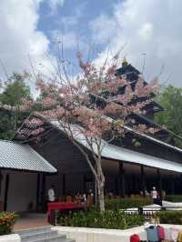 Rajamaitri Buri homestay 