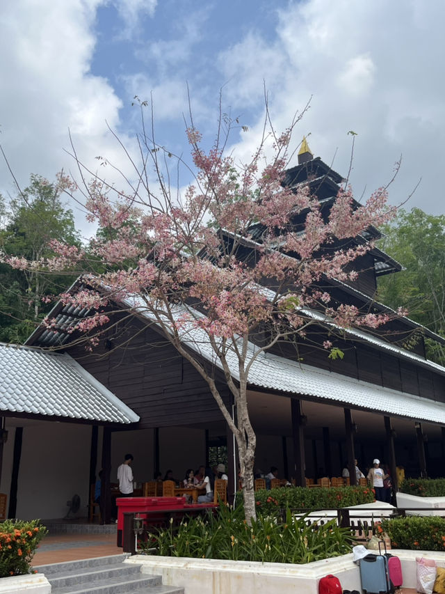 Rajamaitri Buri homestay 