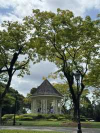 Lush Tropical Paradise - Singapore Botanic Gardens