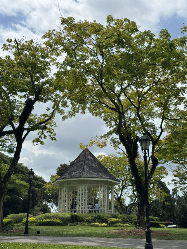 Lush Tropical Paradise - Singapore Botanic Gardens