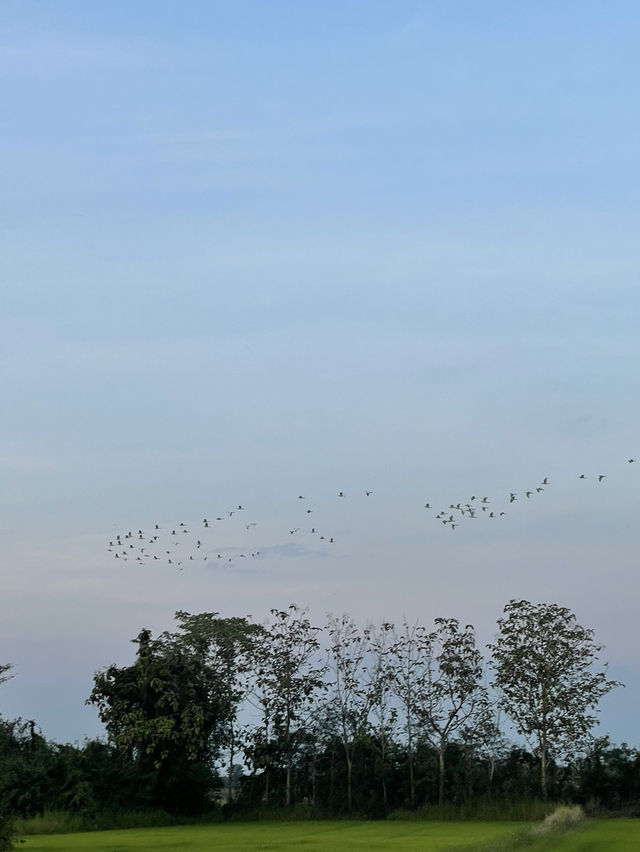 ชมพระอาทิตย์ตก ที่บ้านน้ำชำ 🌥️