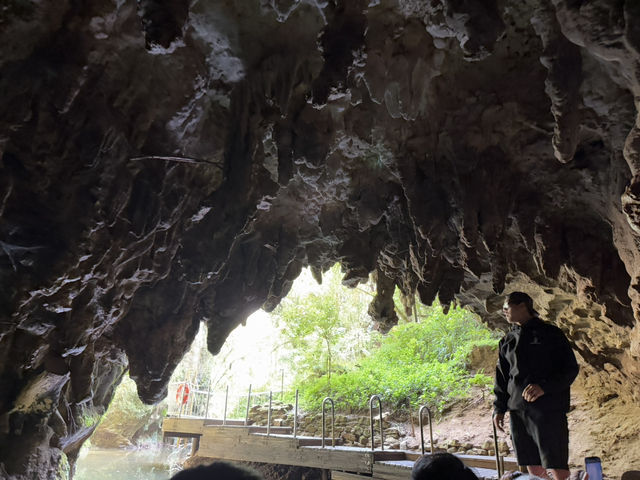 奧克蘭親子旅遊必去——到山洞睇螢火蟲啊