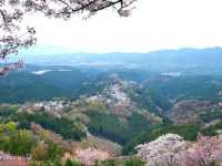 【奈良県】日本古来の桜の名所「吉野山」
