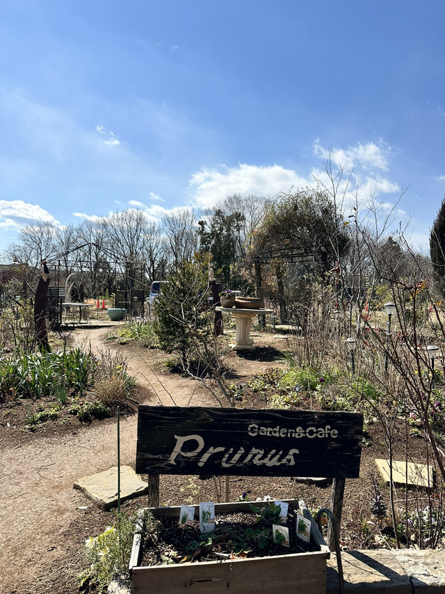 【埼玉×東松山】桜の季節は絶景！お花屋さんが経営するガーデンカフェ