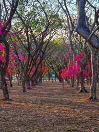 สวนสาธารณะ ภูเก็ต